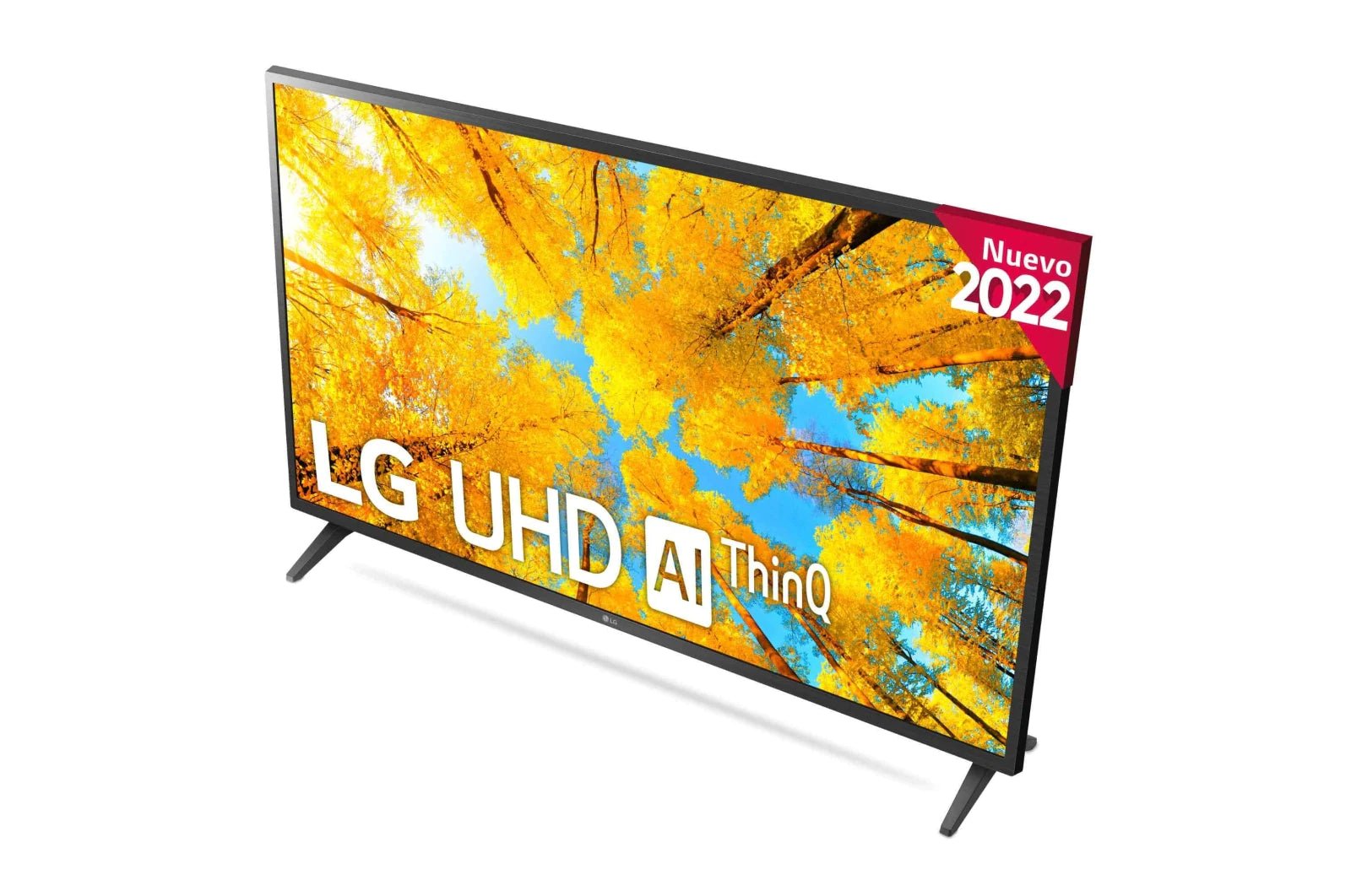 LG Smart TV 43